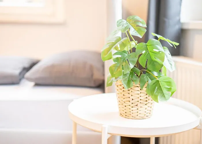 Fullhouse - Halle - Vs7 - 3 Beds - Nespresso *